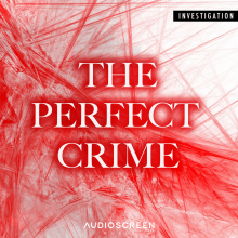 The Perfect Crime